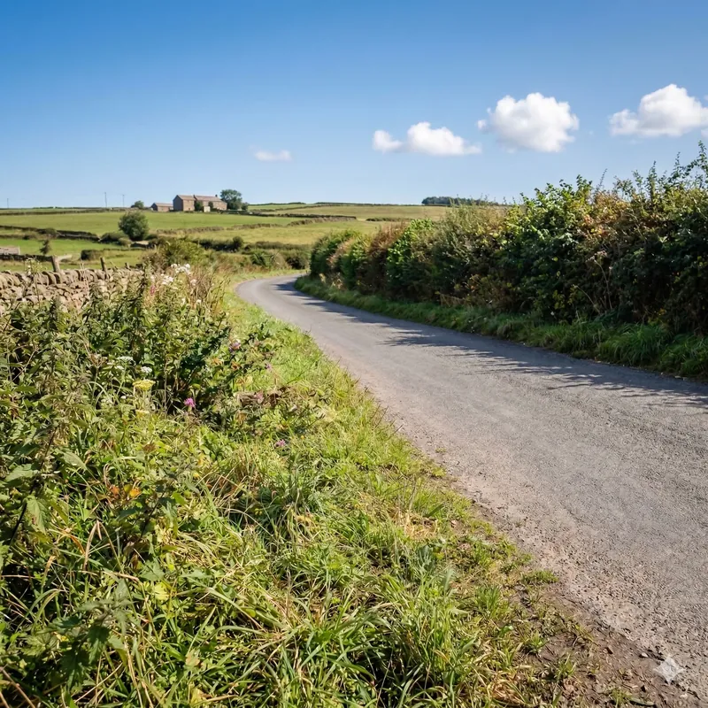 Clean countryside lane after a litter pick